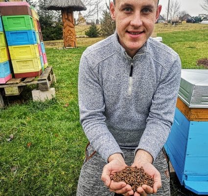 Mesilaste leiva eelised, omadused ja kasutusviisid 5 Millal süüa mesilaste leiba
